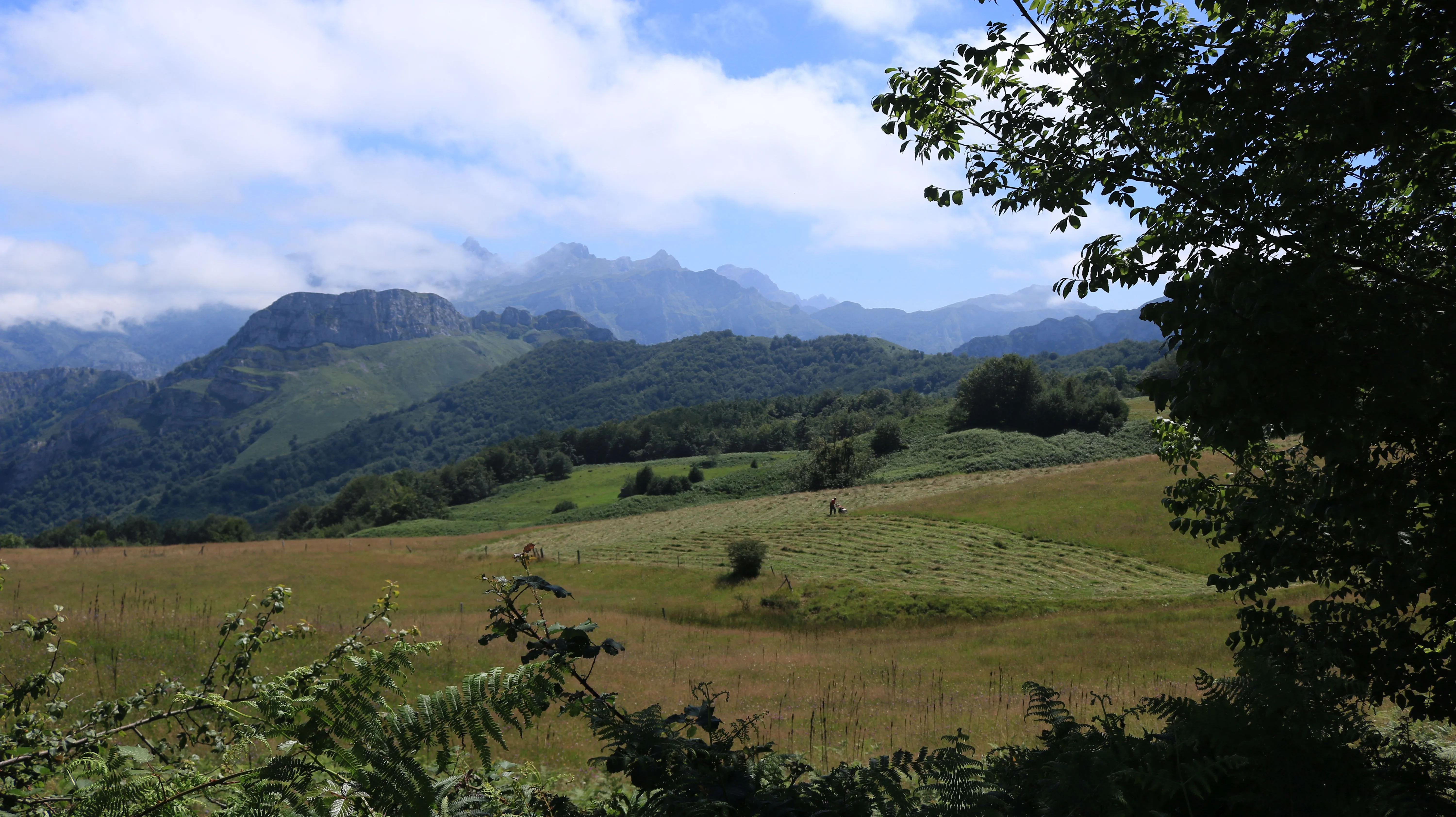 Parque Natural de Ponga cerca de la casa rural
